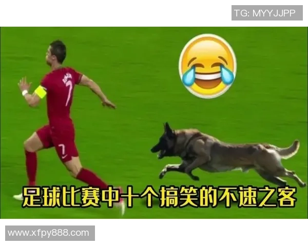 国内搞笑足球明星排行榜揭秘谁是笑点之王